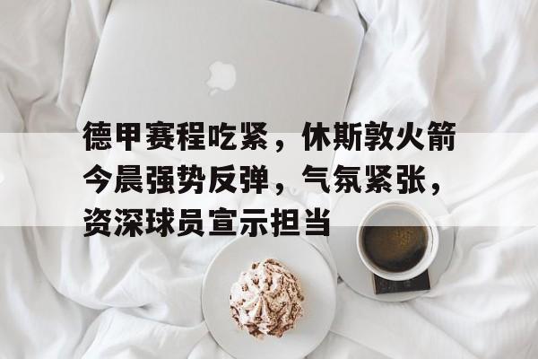 包含德甲赛程吃紧，休斯敦火箭今晨强势反弹，气氛紧张，资深球员宣示担当的词条-开云登录入口地址